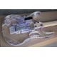 Steve Vai Jem Acrylic Body LED Light 12 Colors 77V Electric Guitar Blue Lighting Inlay, Floyd Rose Tremolo bridge, Locking nut, Monkey Grip, Lion Clay, Gold Hardware