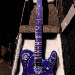 Super RARE Handwork Paint Prince Floral Tele Flower Blue TL Electric Guitar Tremolo Tailpiece, Chrome Hardware, White Dot Inlay